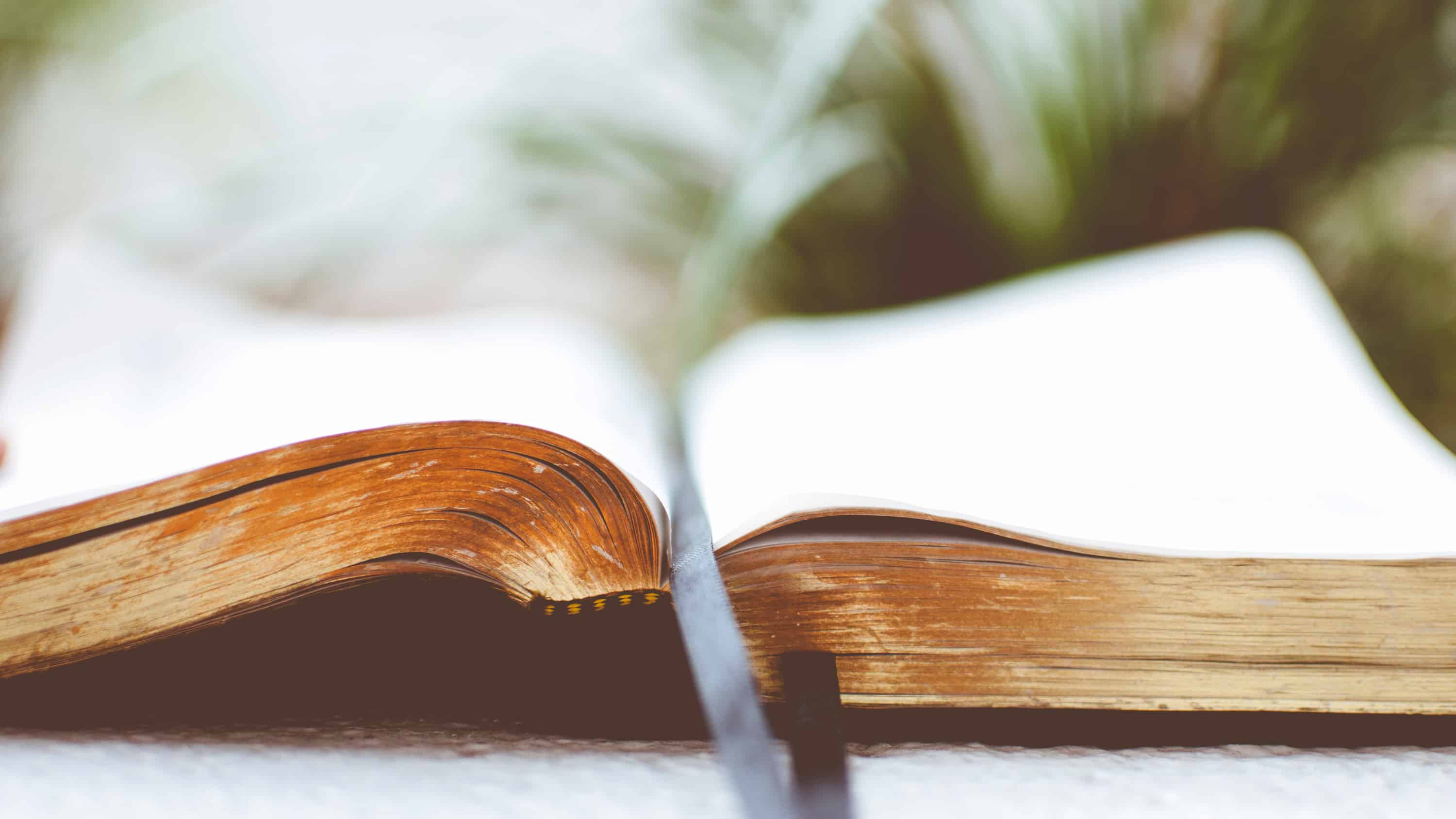 A Bible sits open with a ribbon bookmark running down the middle.