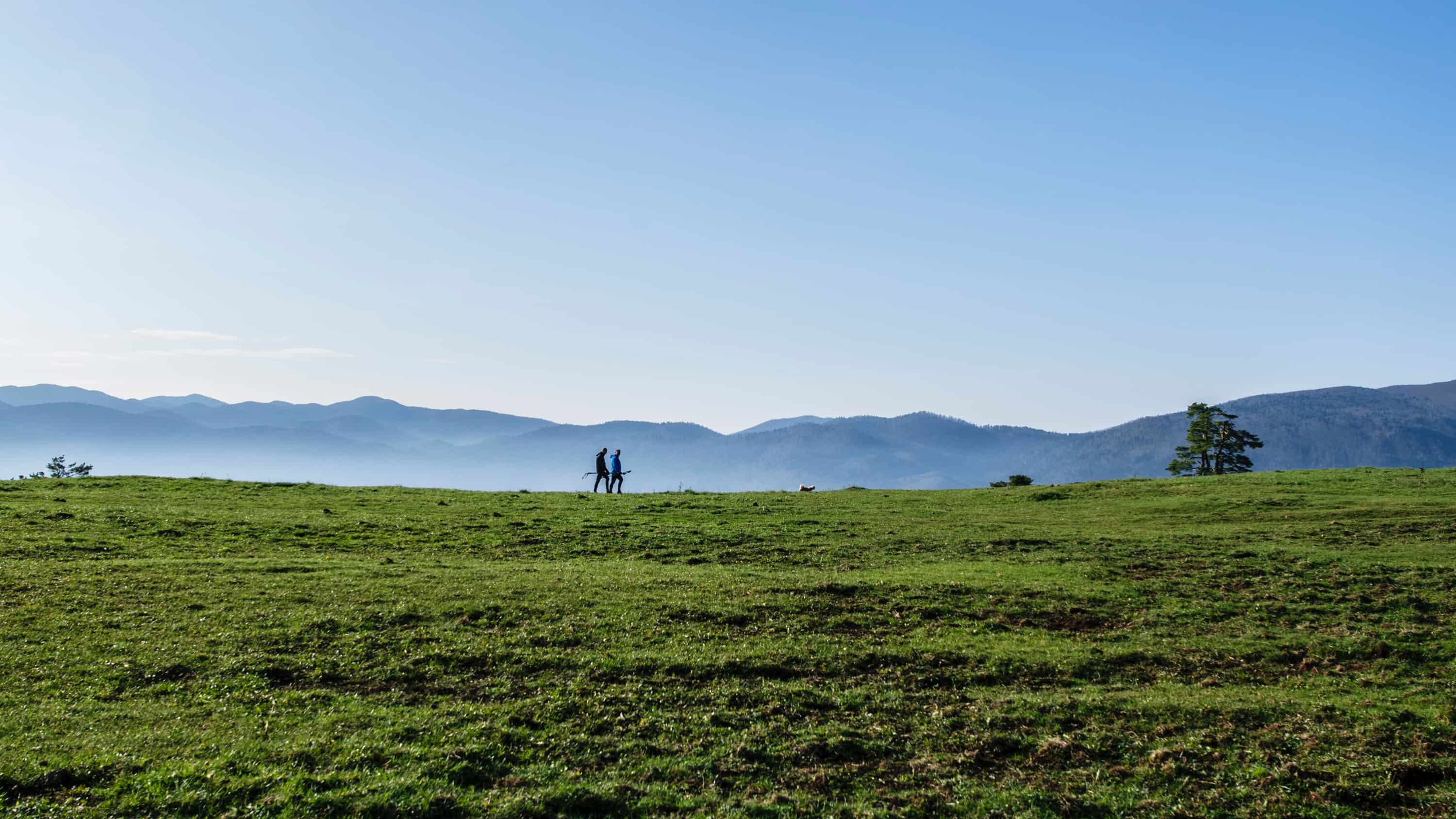 A couple walks together on a green grassy hill.