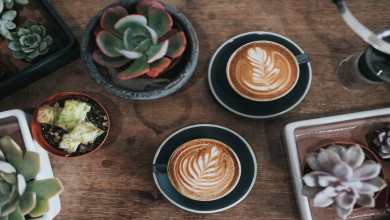 two cups of coffee on table surrounded by small plants