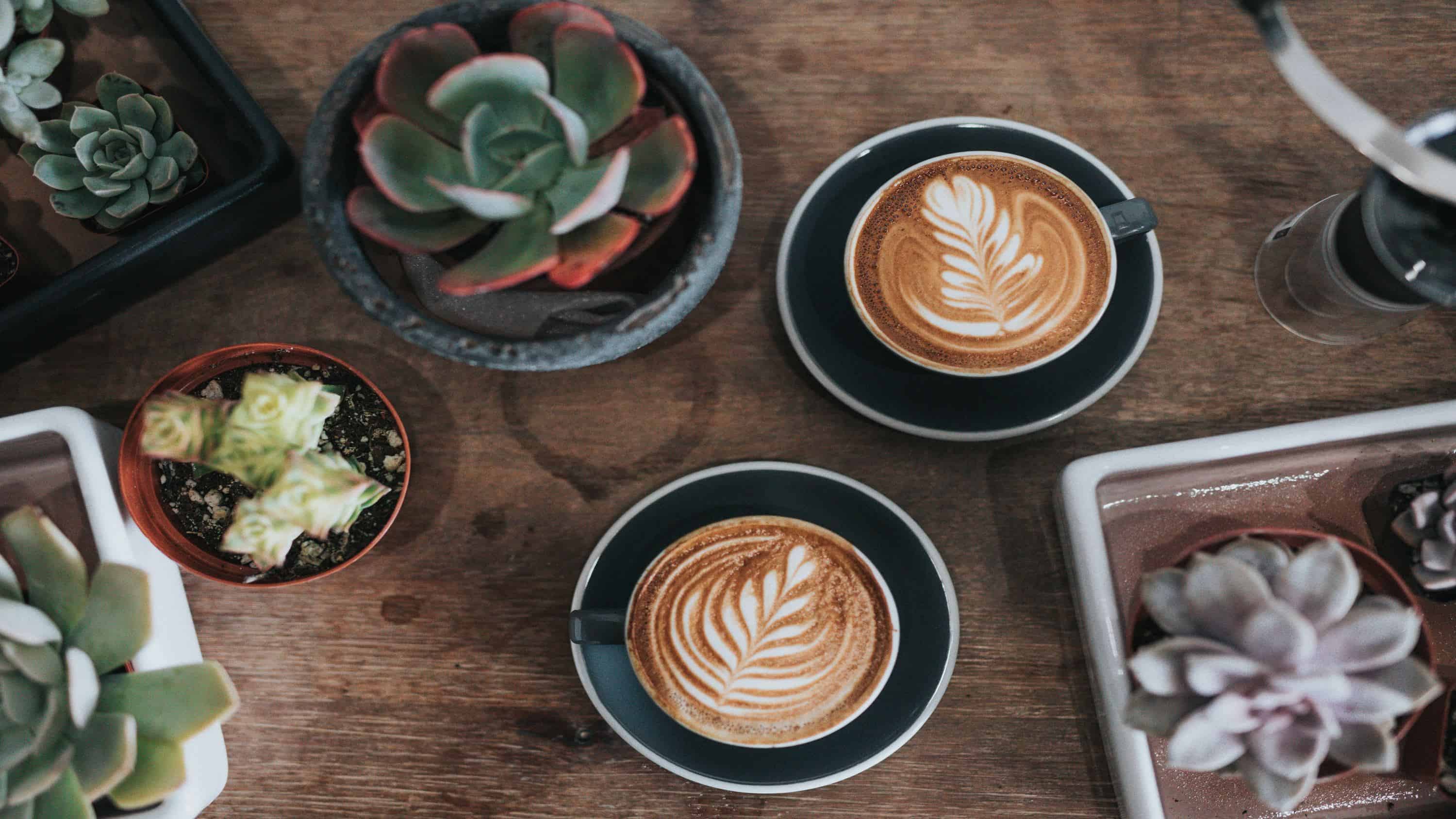 two cups of coffee on table surrounded by small plants