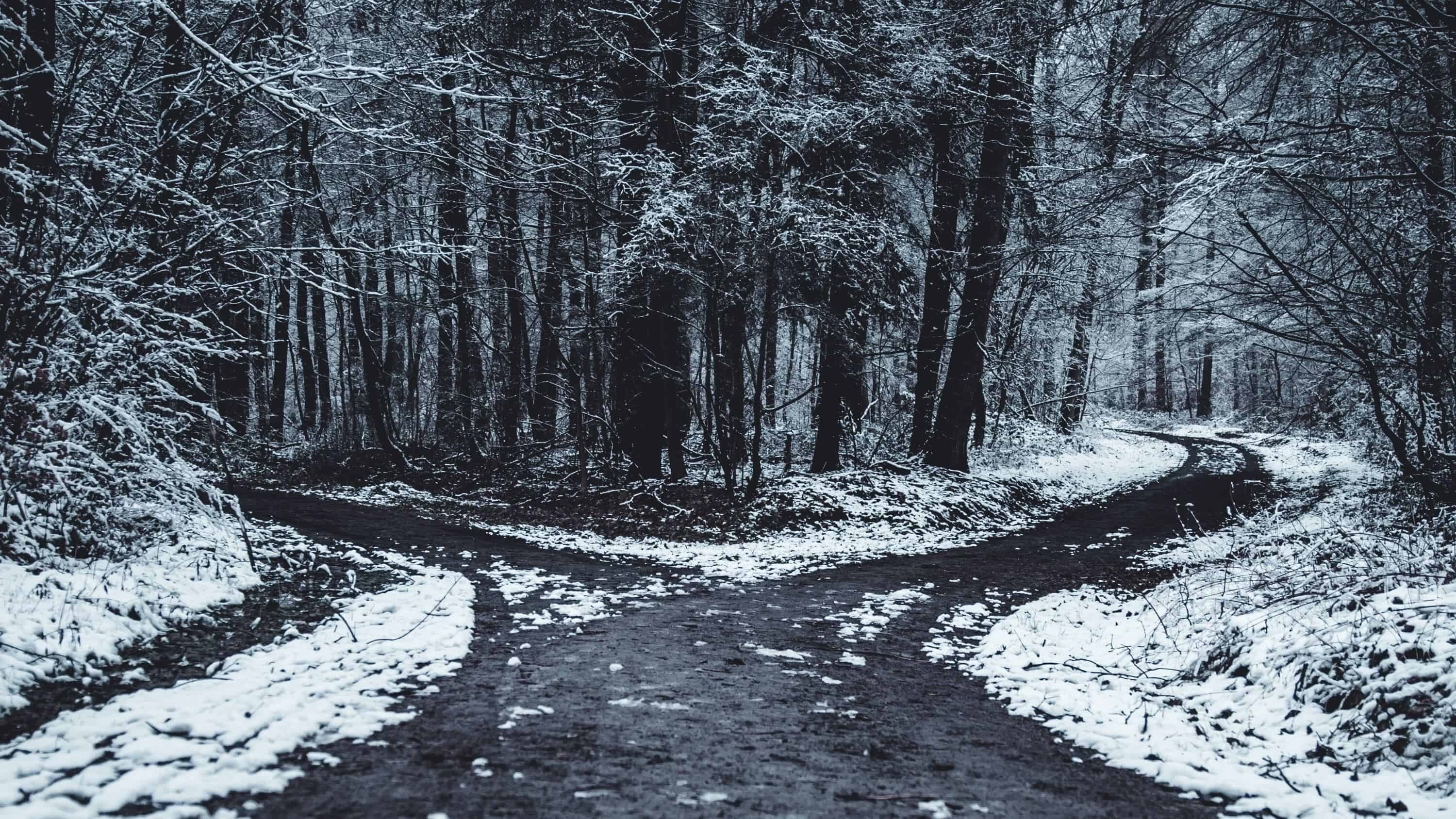 Path diverging in a snowy wood