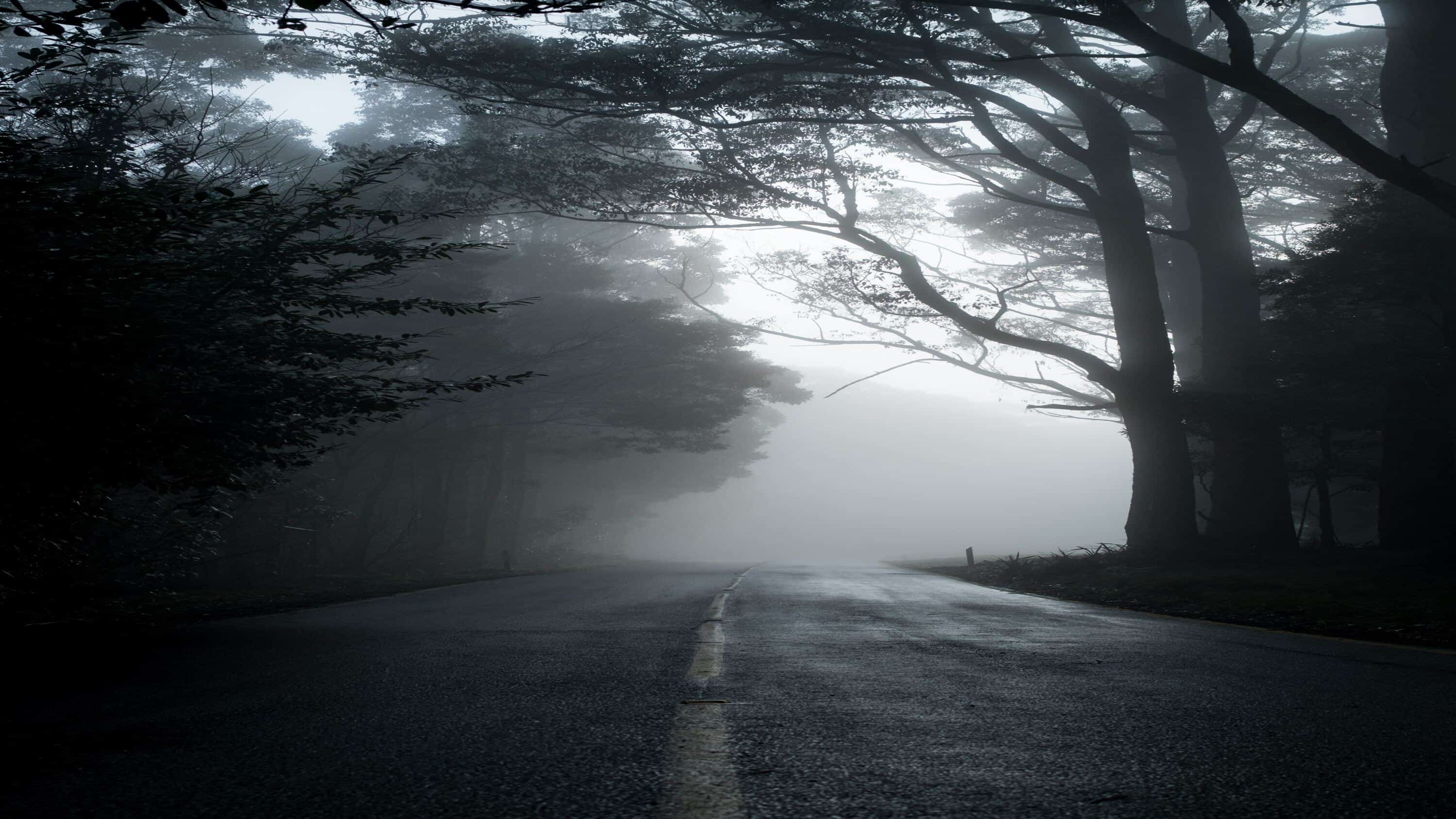gray dark road with trees surrounding