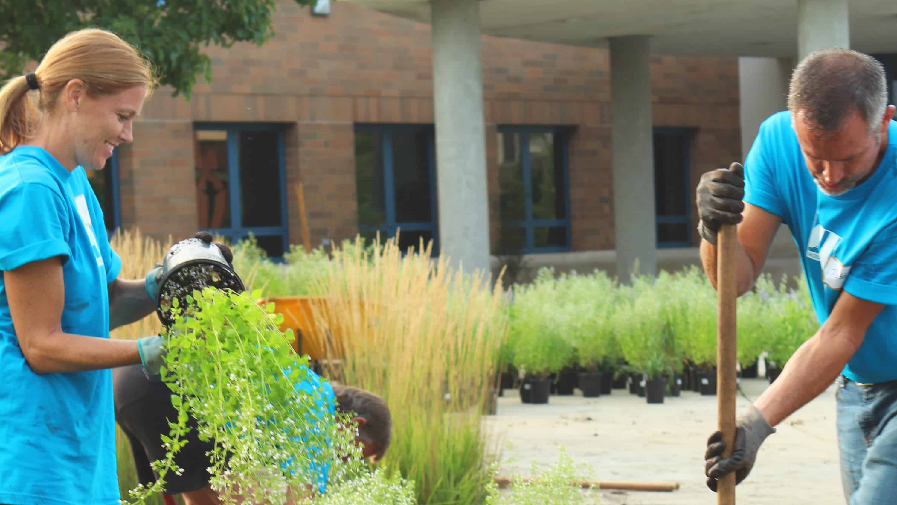 A couple is planting plants together and volunteering.