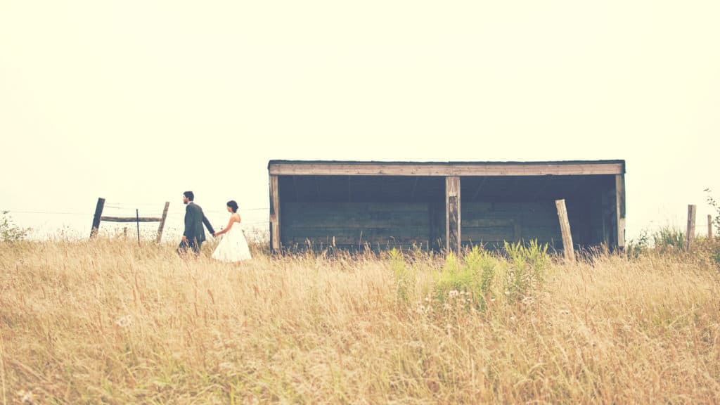 A couples dressed for a wedding walk through a field of wheat.