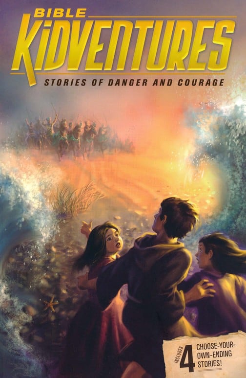 cover for Stories of Danger and Courage