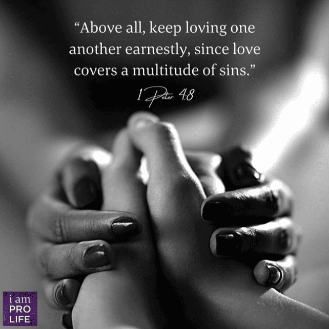 black and white hands hold each other under scriptures about race.