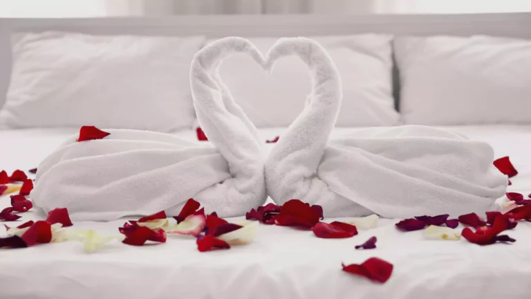Two towels folded into the shape of swans forming a heart, surrounded by red and white rose petals on a bed, symbolizing the importance of receiving Christian sex advice for the wedding night and beyond.