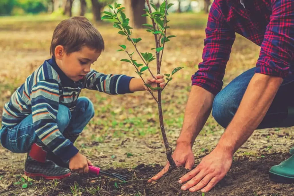 Young boy planting a tree with his father