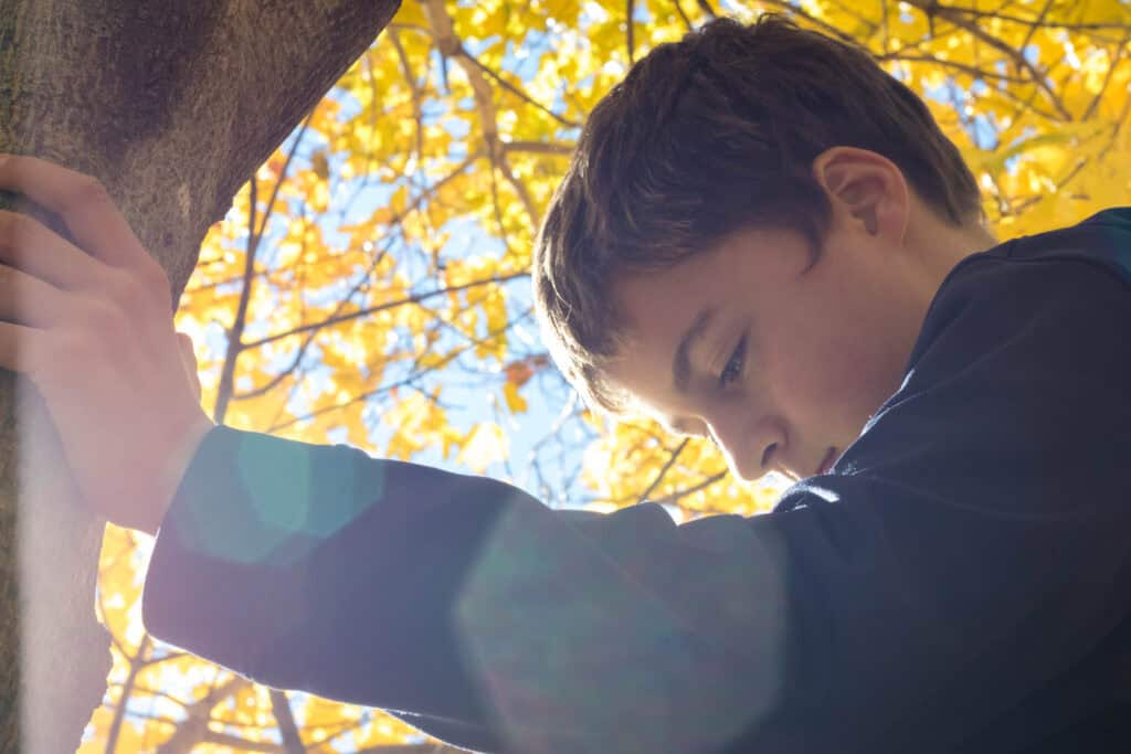 Boy standing by tree with fall leaves looking down