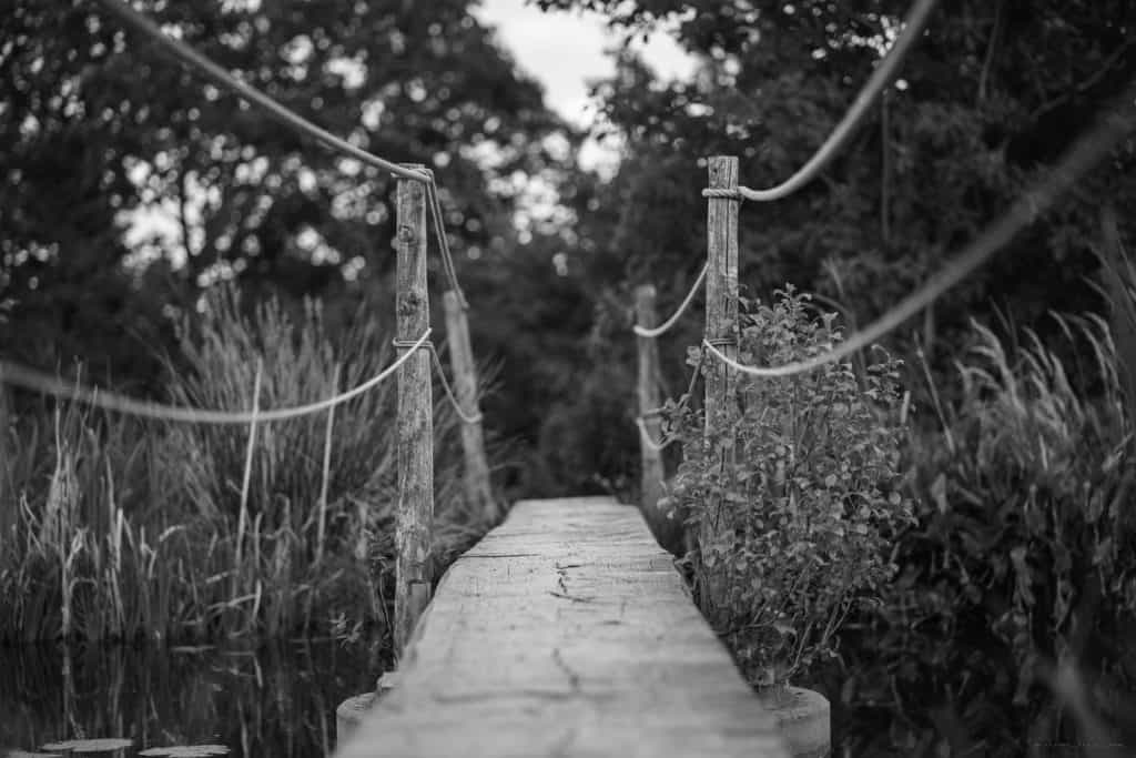 wooden path bridge