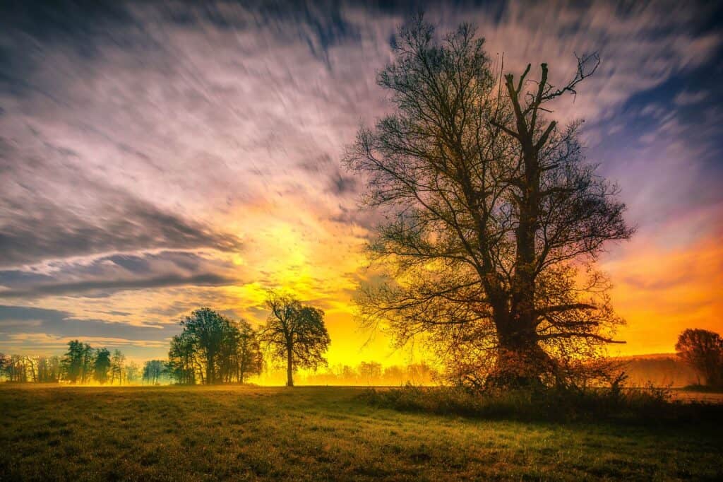 landscape with fiery sky