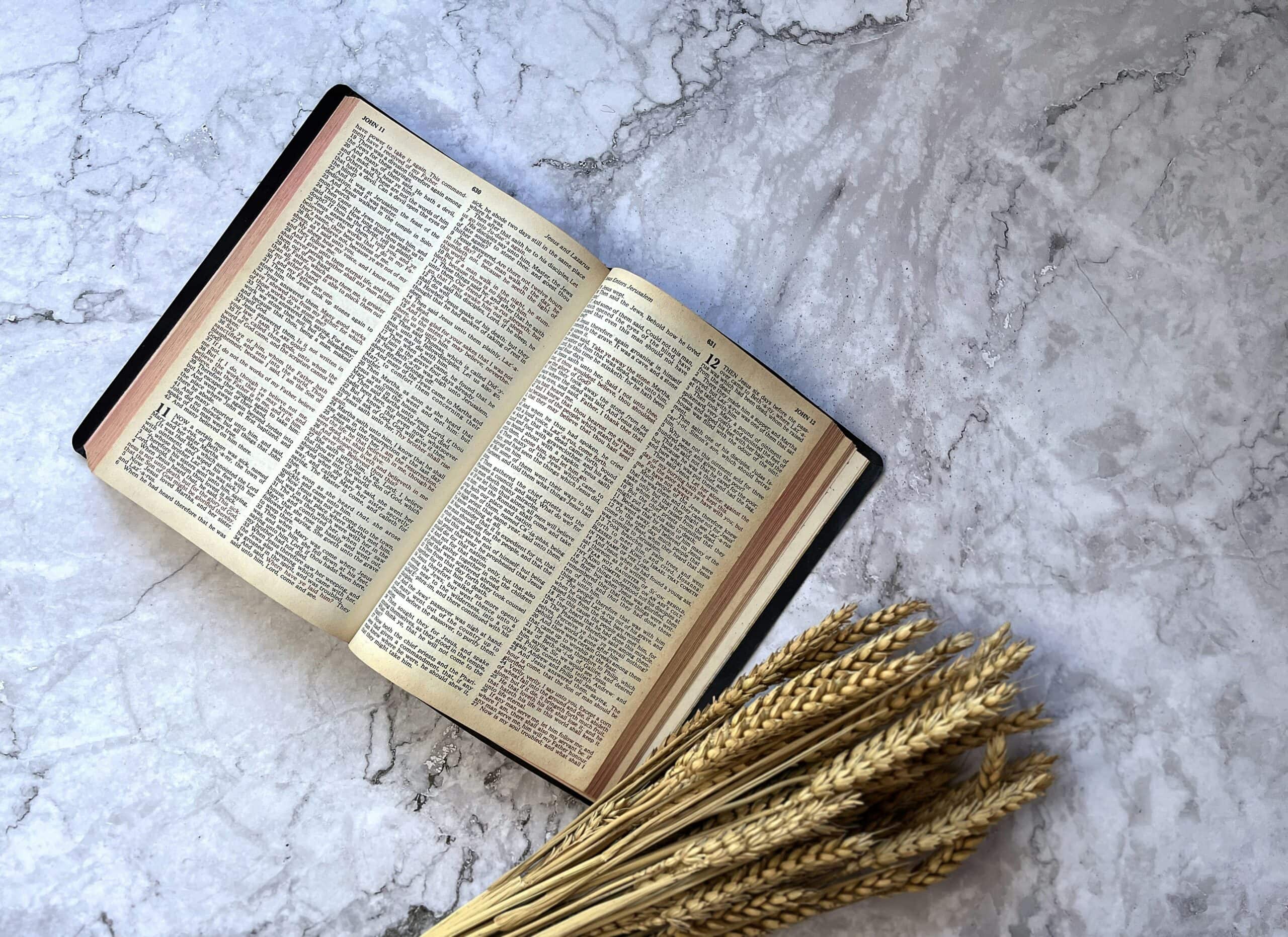 Ongoing Sin in the Christian Life - Focus on the Family