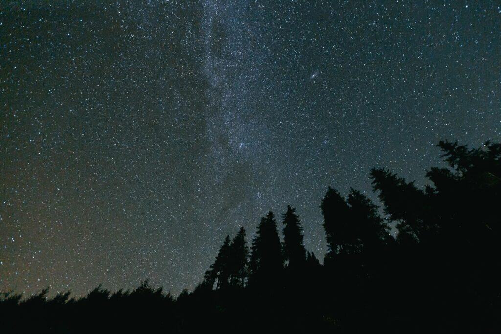 sky full of starts with trees