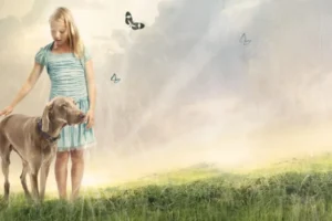 Girl and dog in a field with sunbeams behind her