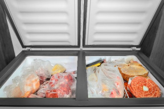 Freezer with meat insisde