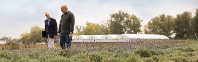 Grandfather and his estate planner talk in a field