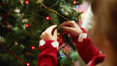 Close up of a young girl's hands hanging a bulb on a Christmas tree