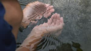 Hands dipping into a lake