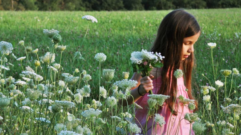 Girl walking through field of flowers, holding a bunch in her hand