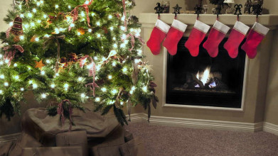 Lit Christmas tree next to a fireplace with six Christmas stockings hanging from the mantle