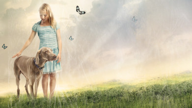 Stylized photo of girl petting large dog outside in a green field with the sun shining behind her