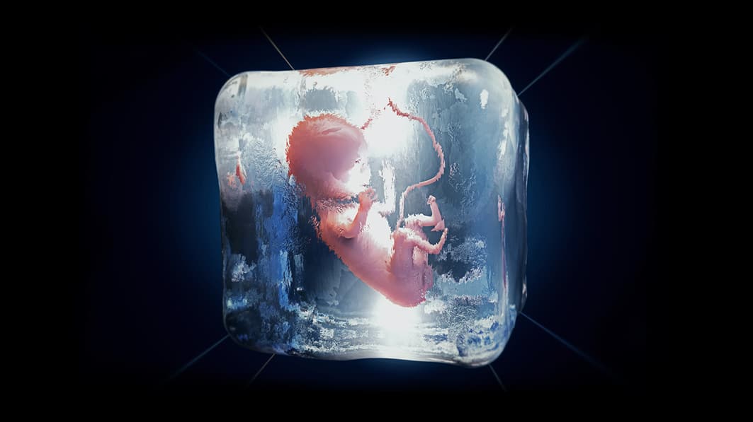 3d illustration of a cryopreserved fetus frozen