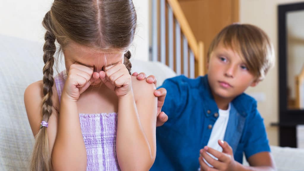 Older brother apologizing to upset sister