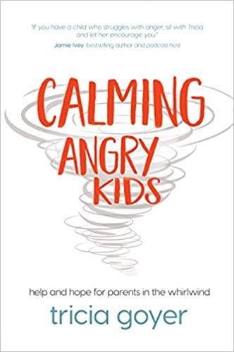 Calming Angry Kids book cover