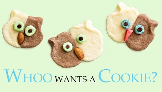 Owl-shaped cookies - "Whoo Wants a Cookie?"