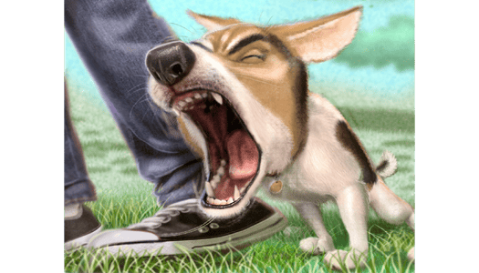 Barking dog