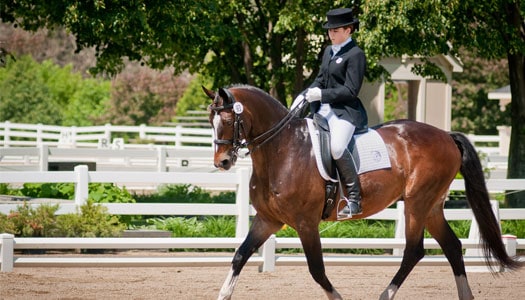 Smart Rider (Equestrian) - Focus on the Family