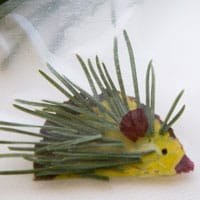 Leaf Animals -- Porcupine