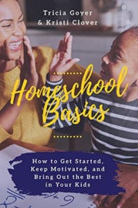 Image of the cover for the book "Homeschool Basics"