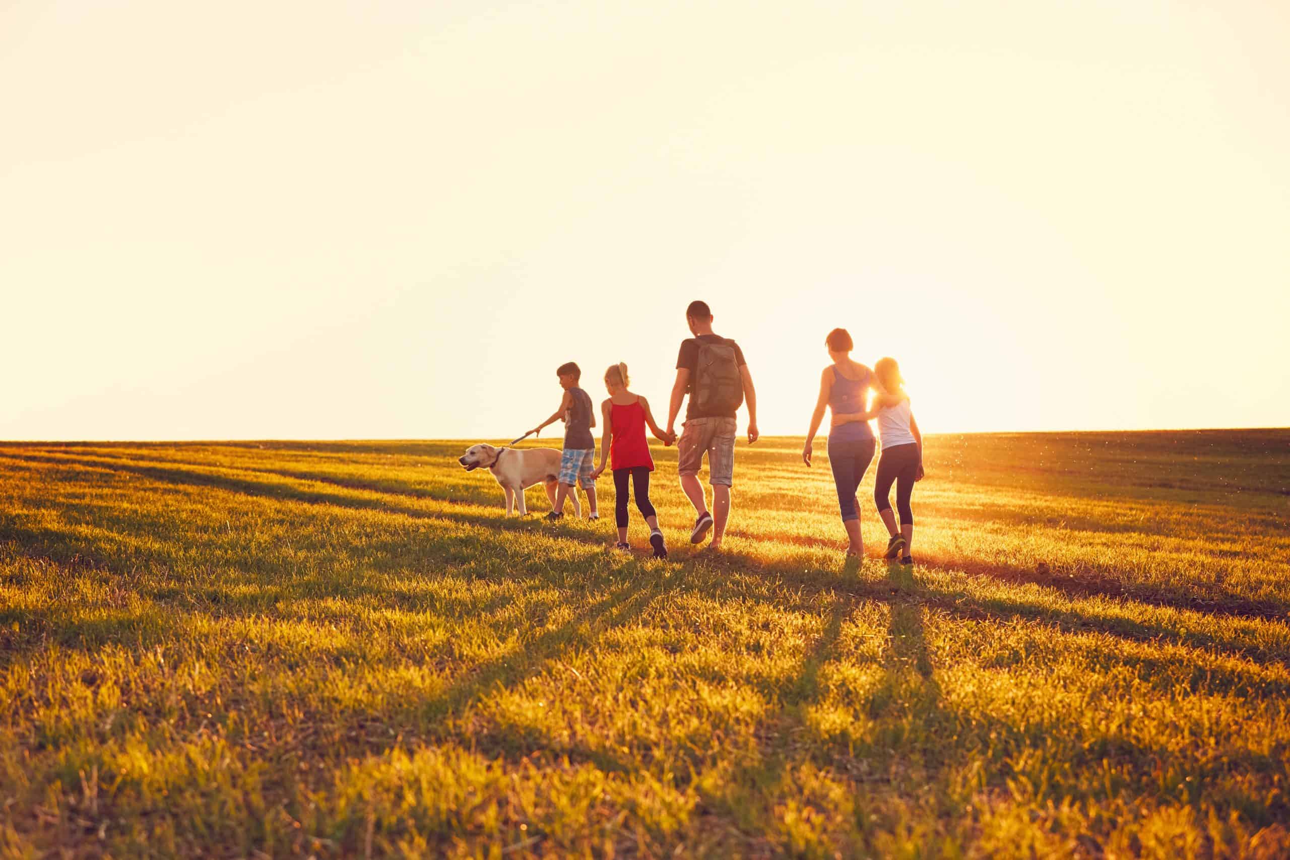 Shown from behind, a family of five walking with their dog through a field at sunset