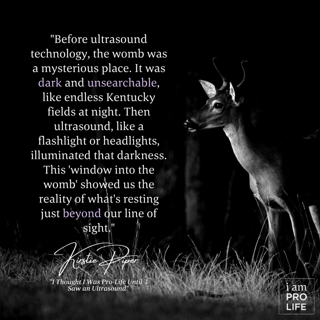 A deer in an open field is revealed by a spotlight, illustrating the power of ultrasound technology to reveal the unborn child in the womb.