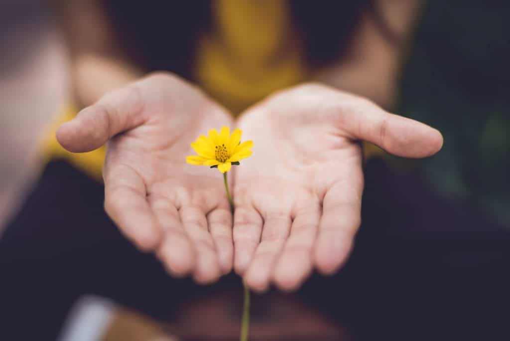 Hopeful choice as a woman holds a small yellow flower in her hand