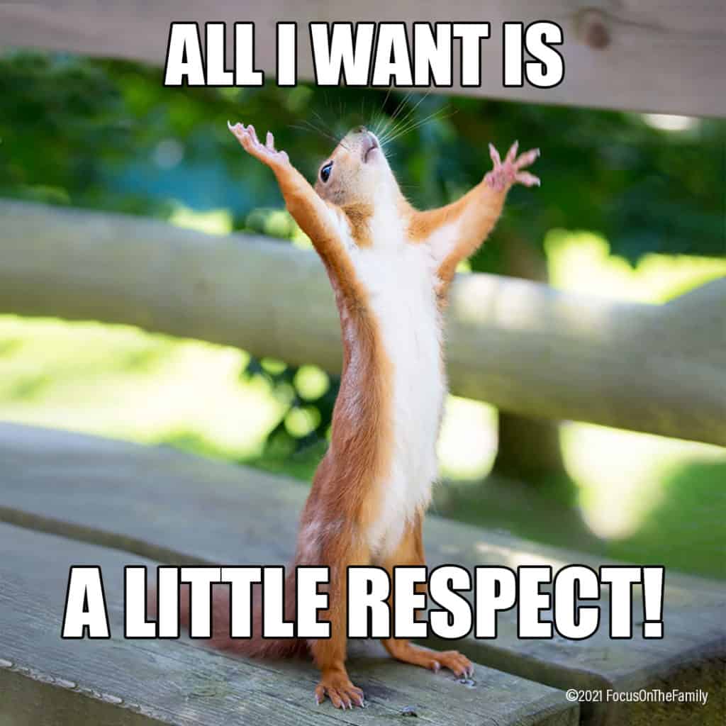 "All I want is a little respect!" Parenting Meme