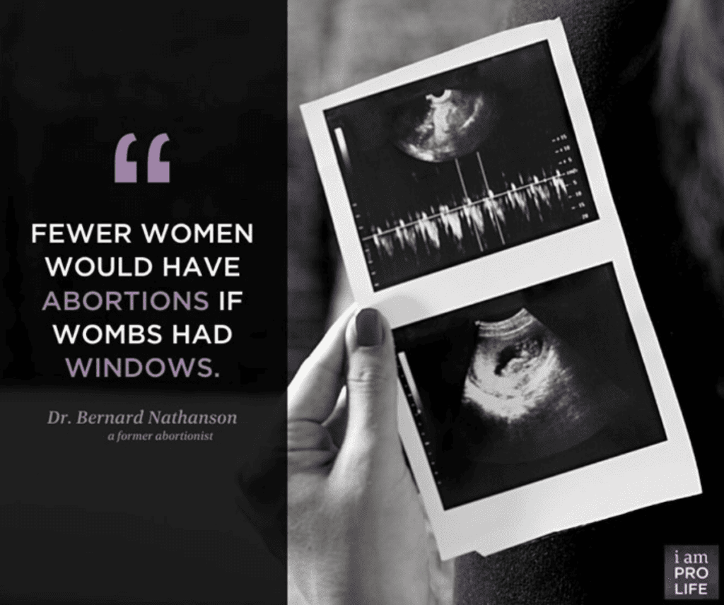 An ultrasound image and quote disproves the pro-choice argument.