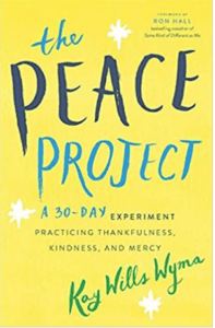 Front cover of The Peace Project