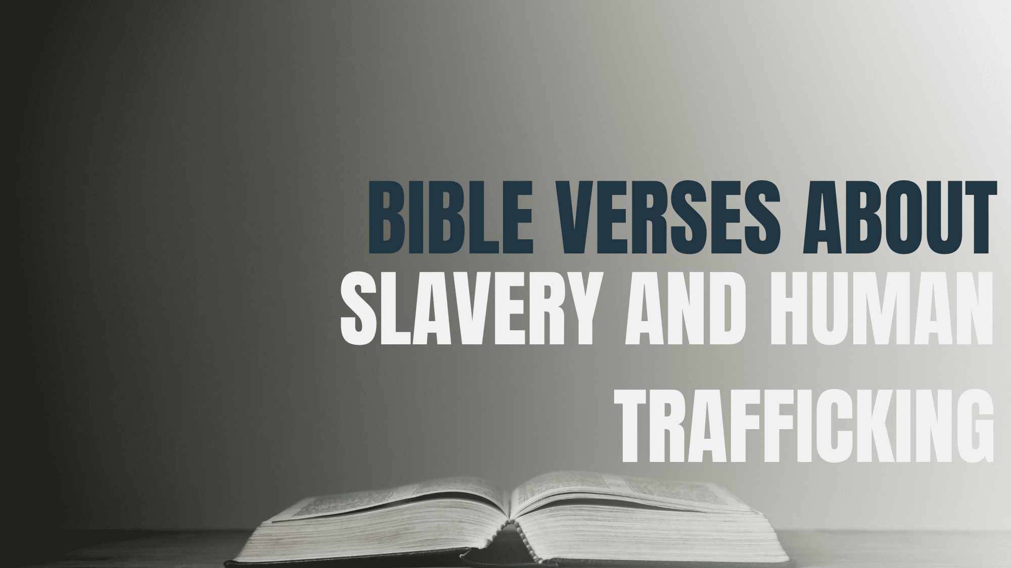 23 Bible Verses About Freedom — What Scripture Says About Freedom