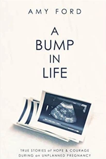 A Bump in Life book cover