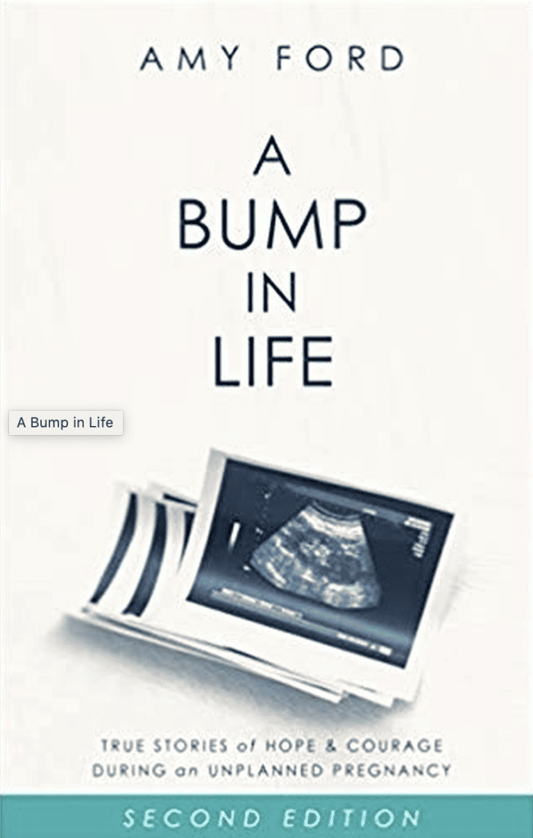 Book over of a bump in life by Amy Ford, helpful for teen mom's as a teen pregnancy resources.
