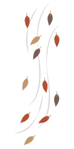 Transparent-falling-leaves-150x300.png