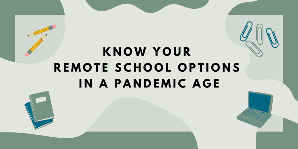 Know Your Remote School Options