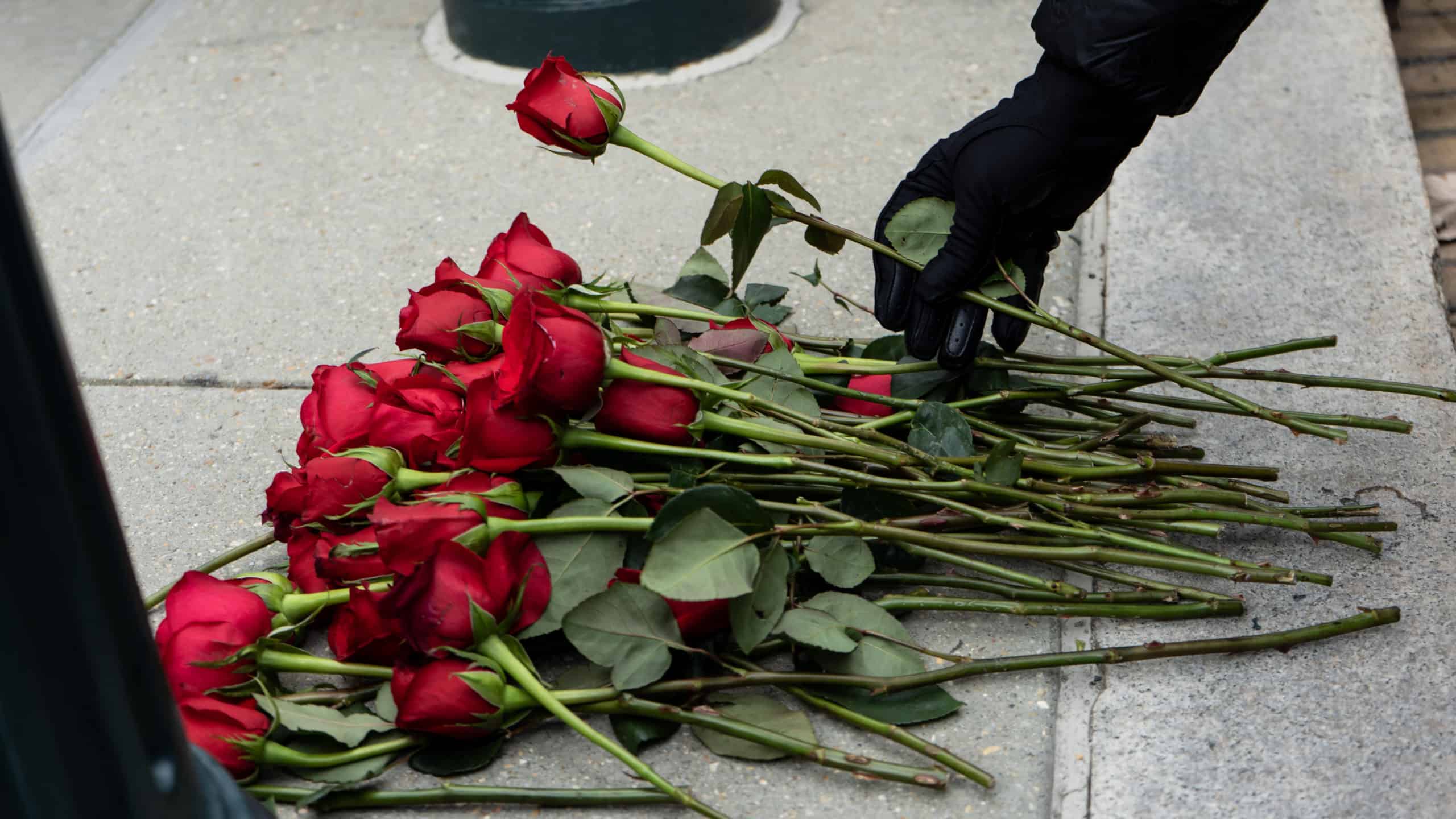 Hand and Rose Preparing for 2022 March for Life