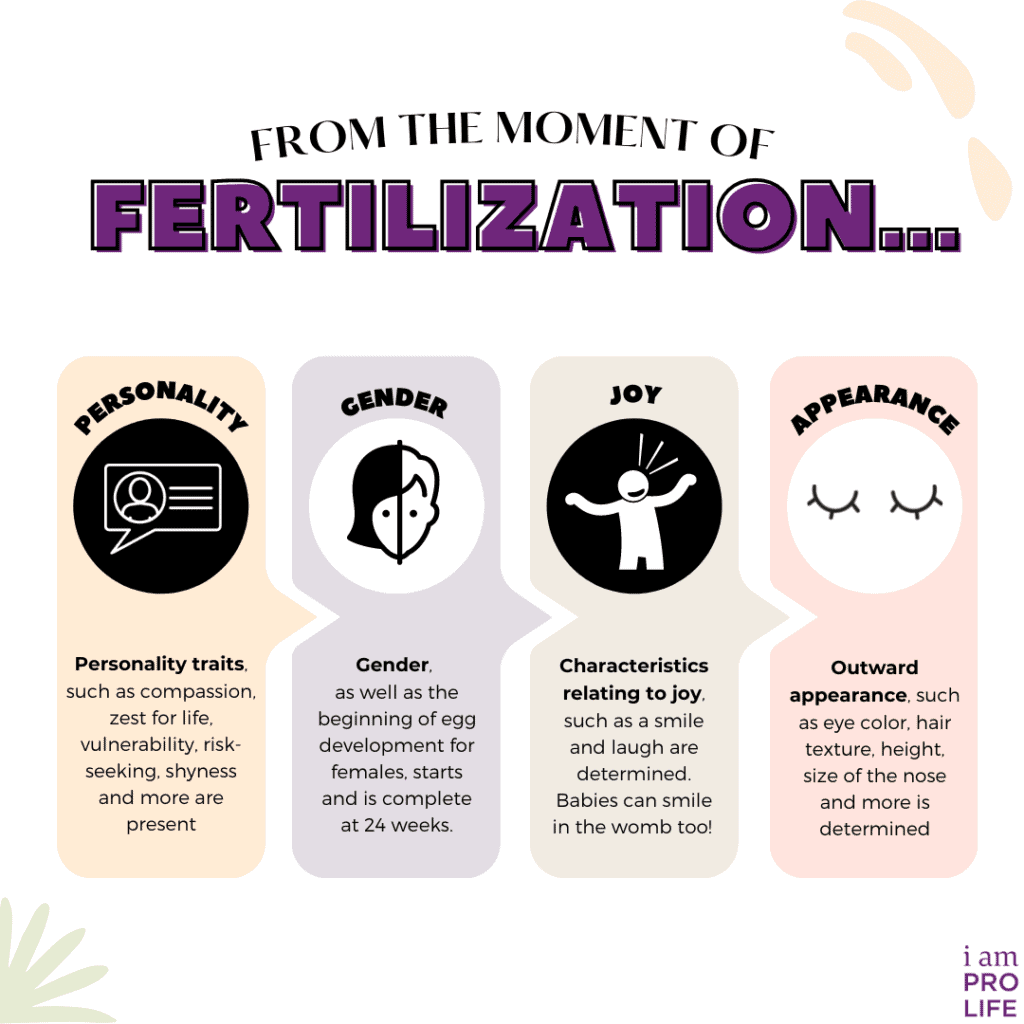 From the Moment of Fertilization