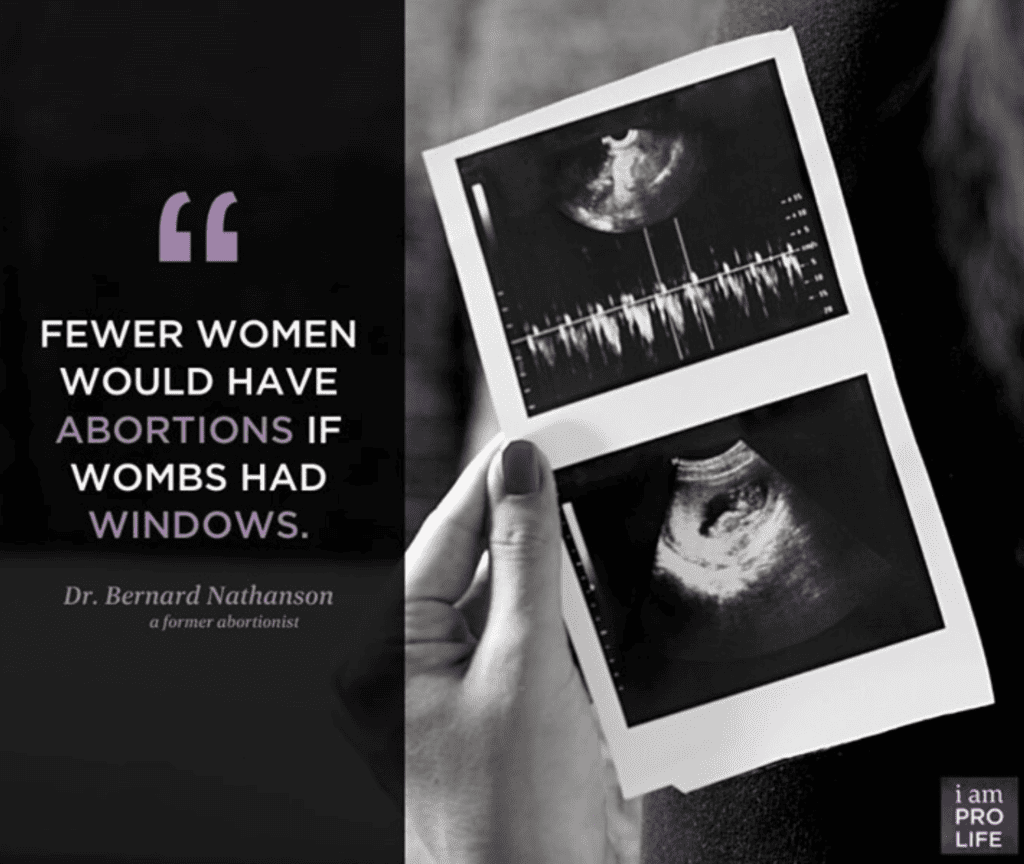 A quote from former abortionist, Dr. Bernard Nathanson, saying fewer women would have abortions if wombs had windows.