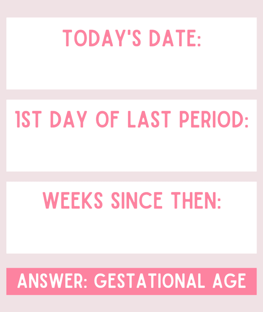 Image to find gestational age of pregnancy when asking, "I'm pregnant, now what?"
