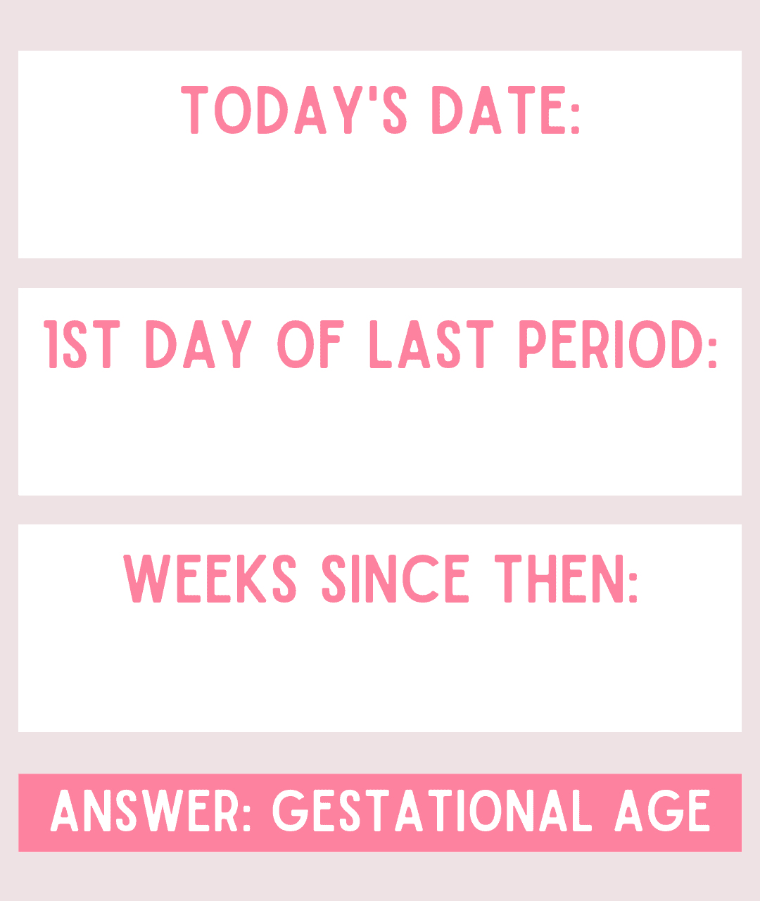 I'm Pregnant, Now What? - Focus on the Family