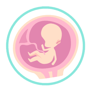 Mississippi abortion ban is based on 15 week gestation age of preborn